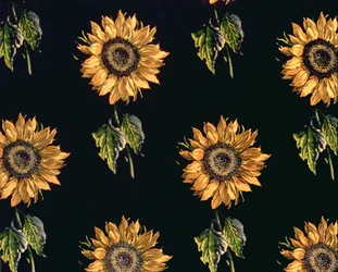 Velours au Sabre: Silk Decoration of Sunflowers by Maison Ogier and Duplan, Lyon 1894